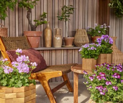 A relaxing outdoor patio with flowers and plants.